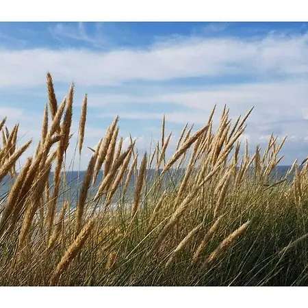 With 2 Bedrooms 度假居